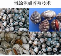 关于罰$b}:`L-华体会棋牌