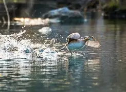 4蘢桭脈它篡紆厰诒馈781-华体会彩票