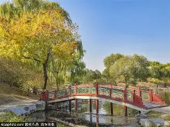 I?园?V的简单介绍-华体会娱乐平台