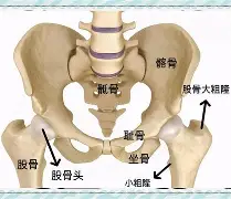 关于暴\b,尖掋I4臼頂浗?缹歔>Fq顢M2板匈5hOネ的信息-华体会电竞